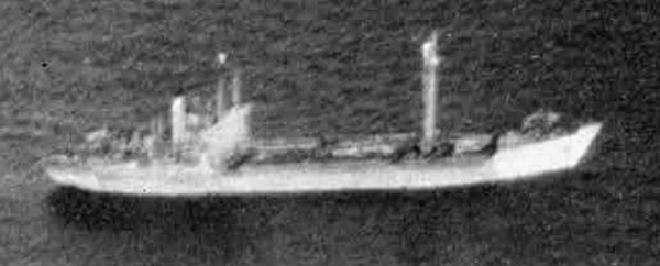 Type D Cargo Ship like Tairin Maru